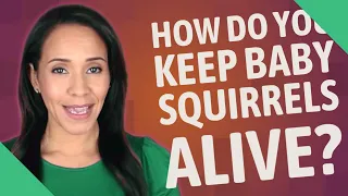 How do you keep baby squirrels alive?