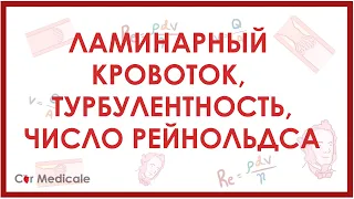 Ламинарный кровоток, турбулентность, число Рейнольдса - физиология сердечно-сосудистой системы