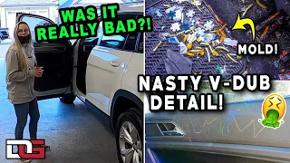 Deep Cleaning a MOLDY SUV! | The Detail Geek