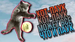 КОТ–ЛЕТЯГА – Приколы с котами и кошками 2020 Приколы с животными 2020 Приколы 2020 Смехотерапия Coub