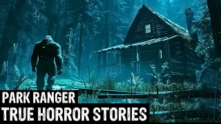 13 TRUE Terrifying Park Ranger Horror Stories (Dogman,Sasquatch, Wendigo,Werewolf,Bigfoot,Creepy)