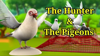 Story:The Hunter and The Pigeons ll Moral stories ll Children's stories ll bedtime story.