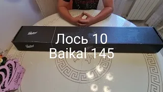 Лось 10 или Baikal 145. Моё первое нарезное оружие.