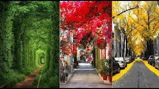 15 Cozy Streets of the World That Become Even More Beautiful in Spring