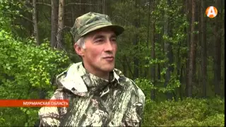 Лоси и медведи - нарушители государственной границы 08.07.2015