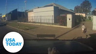 Watch as this driver veers across traffic to help save kid on road | USA TODAY