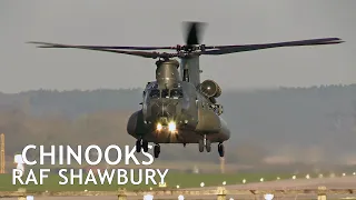 Three Chinook helicopters training out of RAF Shawbury