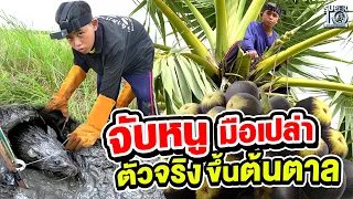 #น้องปกป้อง จับหนูมือเปล่า แถมยังเป็นตัวจริง ปีนต้นตาล | SUPER10