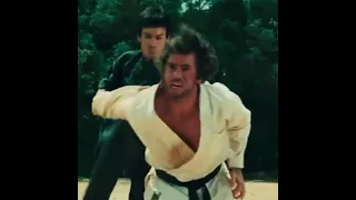 Bruce Lee_Way Of the Dragon Fight