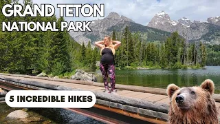 5 Best Easy Hikes In Grand Teton National Park | Best National Park For Wildlife