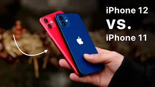 iPhone 12 vs. 11 - Welcher Kauf lohnt sich mehr? (Kaufberatung)