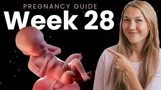 28 Weeks Pregnant | Week By Week Pregnancy