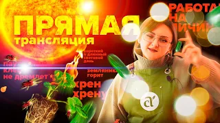 ПРЯМАЯ ТРАНСЛЯЦИЯ. 04.05.22 отвечаем на вопросы про паутинного клеща, голубику, удобрения, посадки