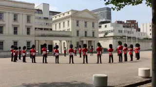 Queen - Don't Stop Me Now (Buckingham Palace Band Cover)