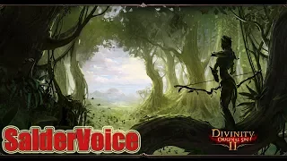 Divinity: Original Sin 2 - Райские холмы (продолжение) и битва с ведьмой Алисой.