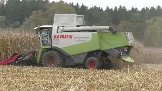 Worz Dreschen 2022 VON einen Ertragreichen Maisacker Bio Qualität  Claas Lexion 560 mit 8  Reihigen