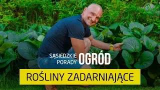 Najlepsze rośliny zadarniające i okrywowe [Sąsiedzkie Porady – Ogród]