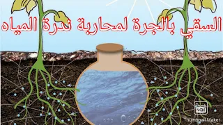 irrigation avec oyas السقي بالجرة