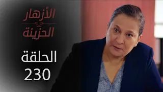 مسلسل الأزهار الحزينة | الحلقة 230 - الموسم الثاني