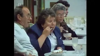 Jsou naše potraviny závadné (1988)