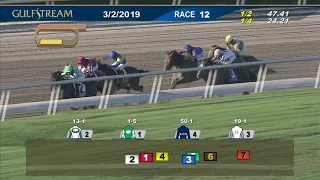 Gulfstream Park March 2, 2019 Race 12