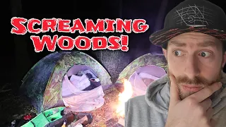 UK's MOST HAUNTED WOODS overnight In Screaming Woods Pluckley Daring Woods