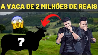 CONHEÇA A VACA MILIONÁRIA COMPRADA POR HENRIQUE E JULIANO