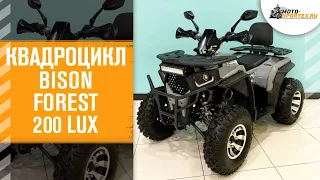 Квадроцикл Bison Forest 200 Lux