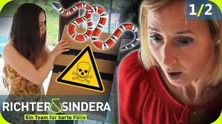 GIFTIGES Geschenk: Nadja öffnet PAKET & ringt nach BISS um Leben 🐍​ |1/2| Richter & Sindera | SAT.1