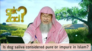Is dog saliva considered pure or impure in Islam? - Assim al hakeem