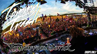 Tommy Trash [Drops Only] @ TomorrowWorld 2014 Atlanta, USA | Mainstage