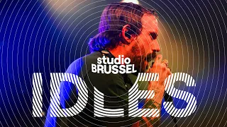 IDLES LIVE AT STUDIO BRUSSEL | Studio Brussel LIVE LIVE