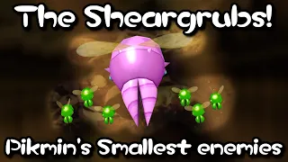 Sheargrubs! There are so many!!!