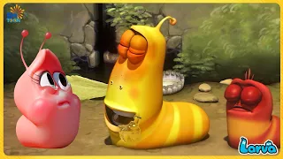 Larva Season 3 Episode 99 ~123 | The BEST of Cartoon Box | Hilarious Cartoon Compilation