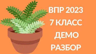 Разбор демоверсии ВПР по биологии 2023 7 класс