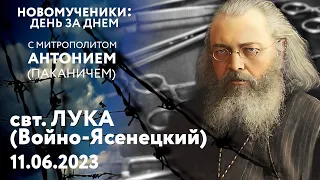 Новомученики: день за днем. Свт. Лука (Войно-Ясенецкий). Рассказывает митр. Антоний (Паканич).