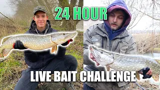 24 Hour Live Bait Challenge - 2 Double Figure Pikes!