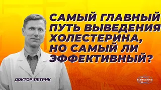 Самый главный путь выведения холестерина, но самый ли эффективный?