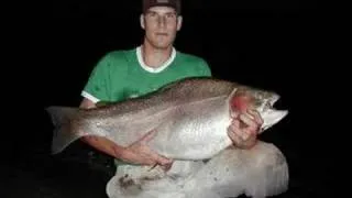 world record rainbow trout (43.6LBS)