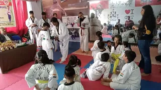 Belt distribution Ceremony // TKD // colour belt promotion//