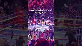 Mark "Magnifico" Magsayo wins by KO!