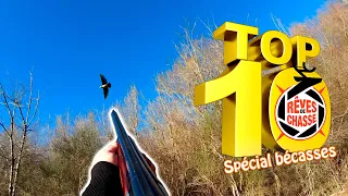 Top 10 Rêves De Chasse n°8 - mai 2023 - Edition spéciale "bécasses"