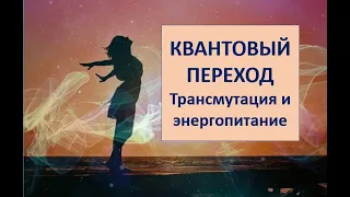 КВАНТОВЫЙ ПЕРЕХОД. Трансмутация и энергопитание. 2 ч.