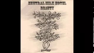 Neutral Milk Hotel - Beauty (Full Album)