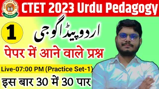 CTET 2023 Urdu Pedagogy |Urdu Pedagogy for CTET 2023 |ctet urdu vvi Question Answer 2023