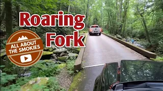 Scenic Drive Through Roaring Fork - Great Smoky Mountains