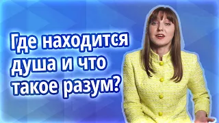 Мотивация человека: тело, разум и дух. Разум человека это не мозг. Душа человека это вы