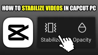 How To Stabilize Videos in CapCut PC (2024)