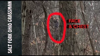 Salt Fork Ohio Grassman Evidence Update - Bigfoot - Sasquatch