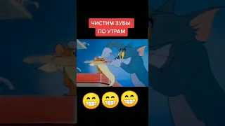 МЫ С БРАТОМ ЧИСТИМ ЗУБЫ ПО УТРАМ 😆 ТОМ И ДЖЕРРИ ТИК ТОК - ПРИКОЛЫ ТИК ТОК - МЕМЫ ТИК ТОК - РЖАКА 😂